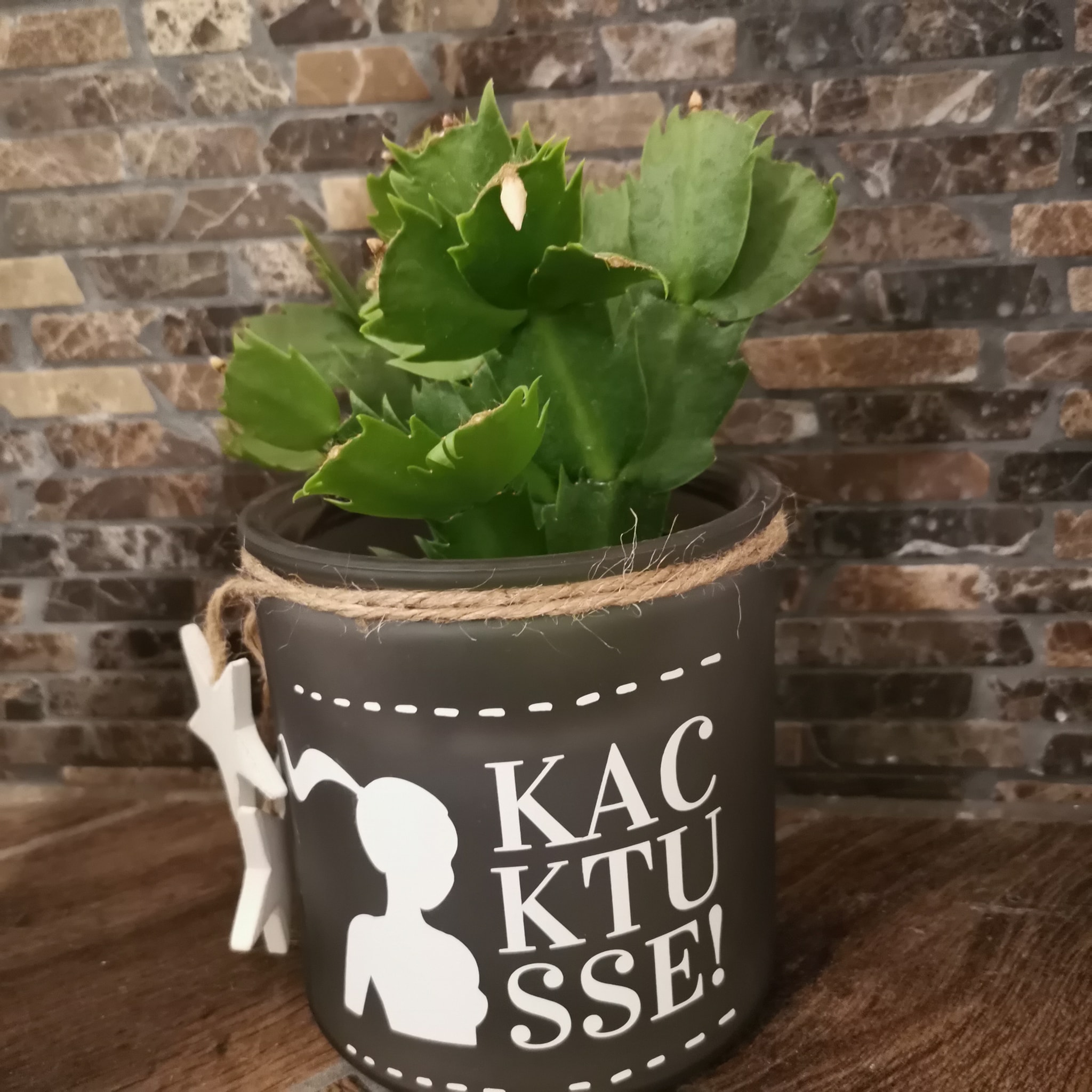Schnittrebell Kacktusse Plotterdatei SVG DXF PNG Digital